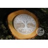 Plaque sélénite Arbre de Vie 10 cm