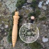 Pendule Thot en buis gravé et lesté