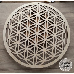 Plaque Fleur de Vie...